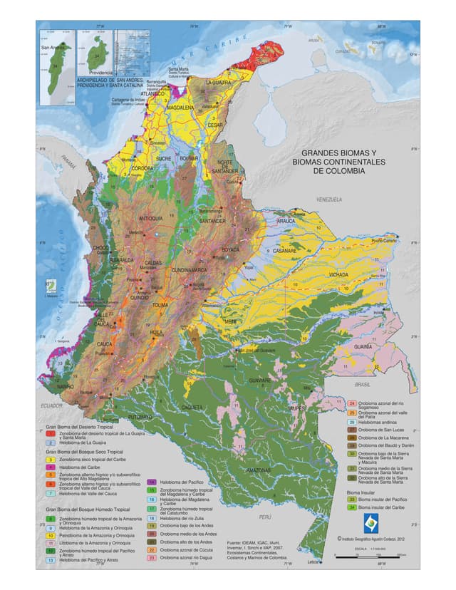 Imagen de Mapa de Grandes Biomas